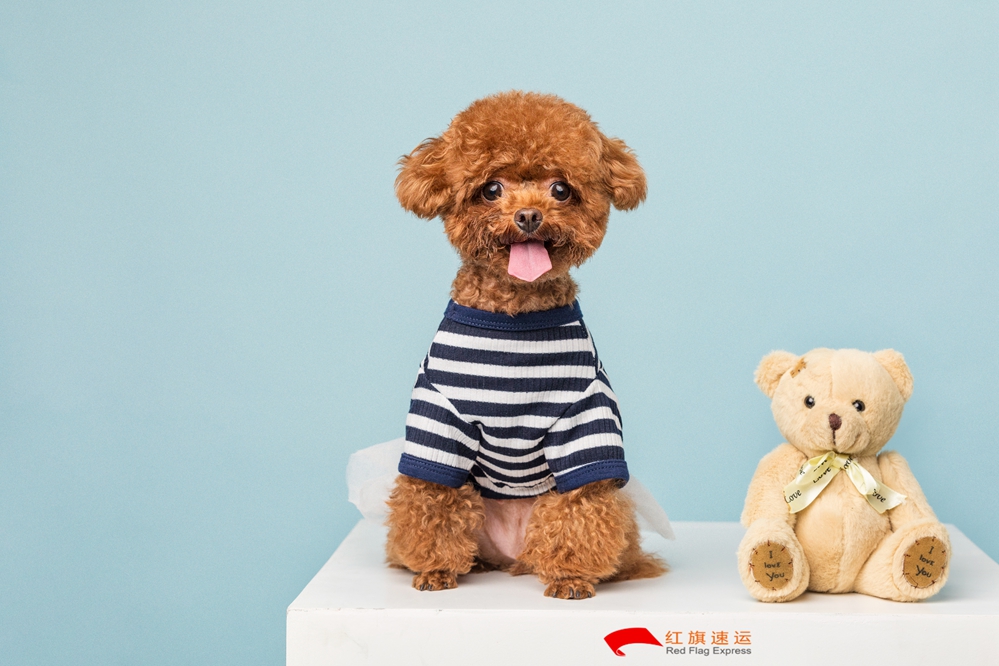 玩具香港进口清关